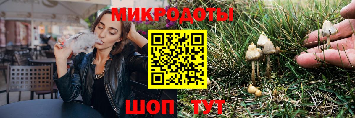 Зеленокумск  Псилоцибиновые грибы мицелий  Вход с VPN 